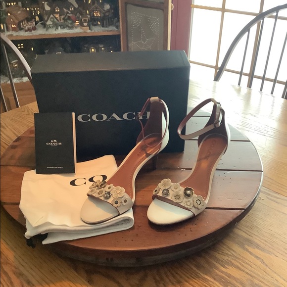 coach tea rose sandal